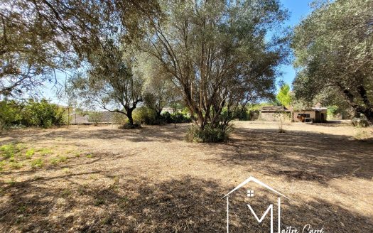 Cuers – Terrain à bâtir – Lot n°2 – 597 m² – Plein Sud