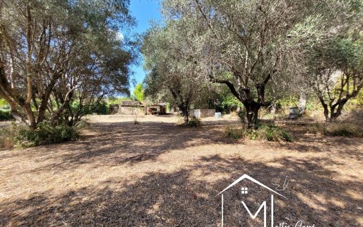 Cuers – Terrain à bâtir – Lot n°2 – 597 m² – Plein Sud