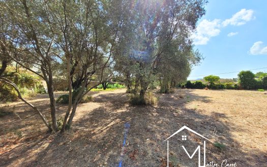 Cuers – Terrain à bâtir – Lot n°1 – 449 m² – Plein Sud