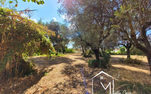 Cuers – Terrain à bâtir – Lot n°1 – 449 m² – Plein Sud